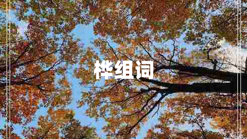 桦组词