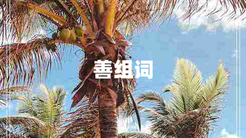 善组词