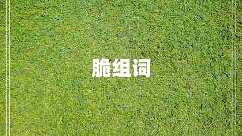 脆组词