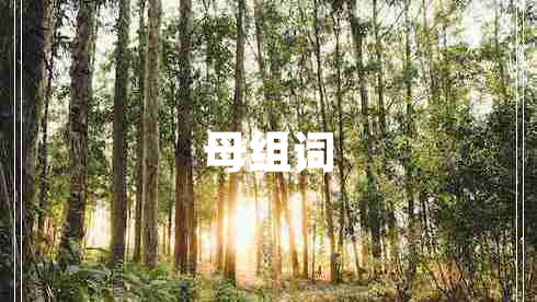 母组词
