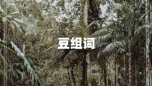 豆组词