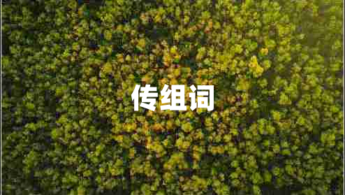 传组词