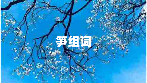 笋组词
