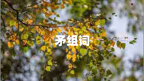 矛组词