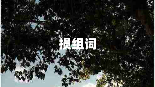 损组词