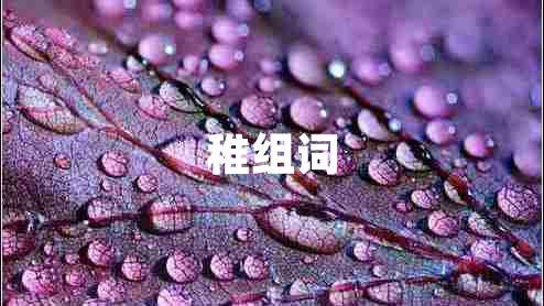 稚组词