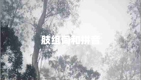 肢组词和拼音