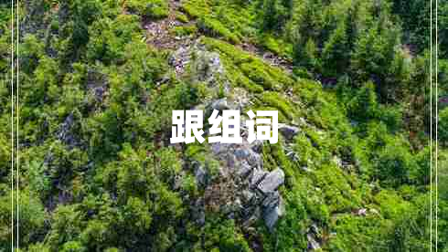 跟组词
