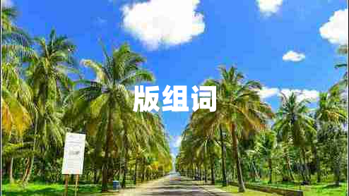 版组词