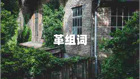 革组词