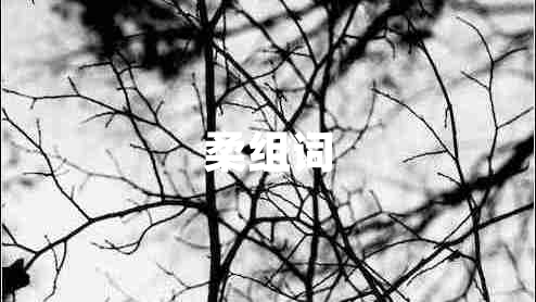 柔组词
