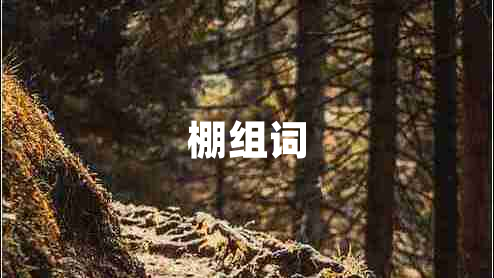 棚组词