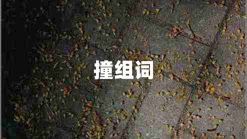 撞组词