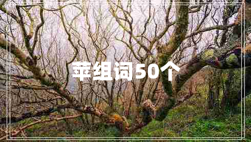苹组词50个