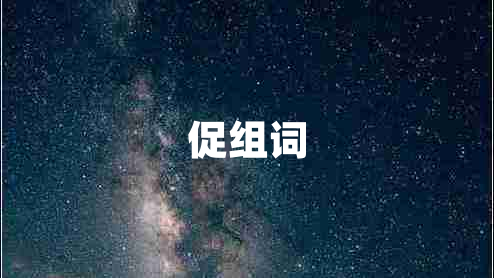 促组词