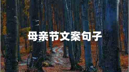 母亲节文案句子