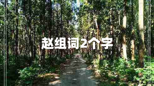 赵组词2个字