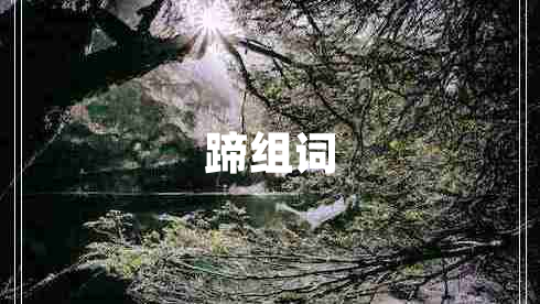 蹄组词