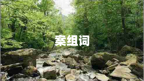 案组词