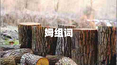 姆组词