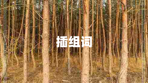 插组词