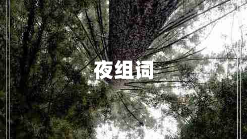 夜组词