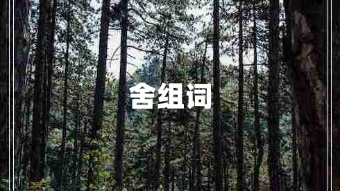 舍组词