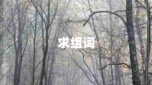 求组词