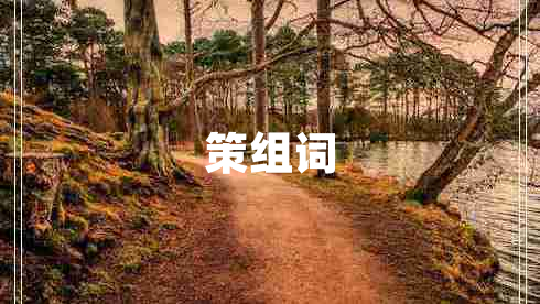策组词