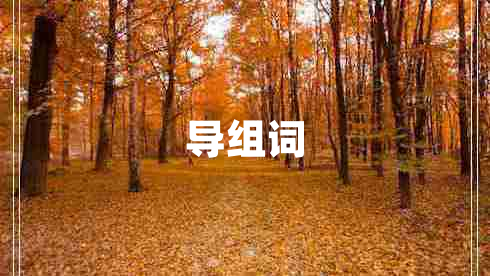 导组词