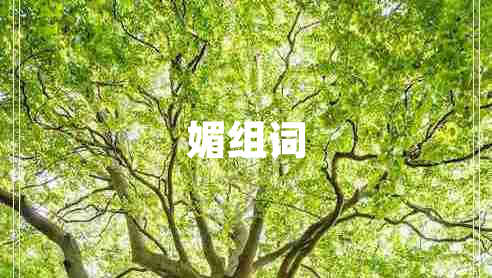 媚组词