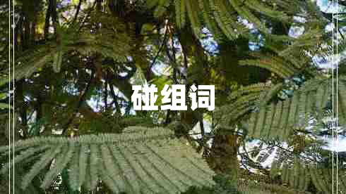 碰组词