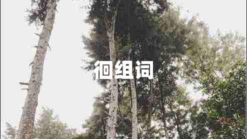 徊组词