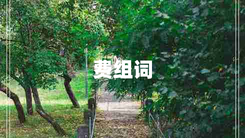 费组词