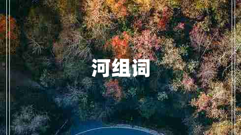 河组词