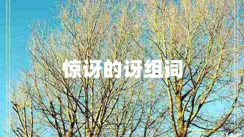 惊讶的讶组词