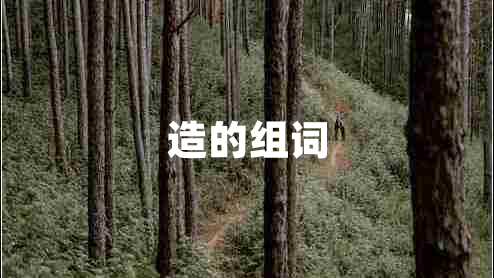 造的组词