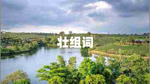 壮组词