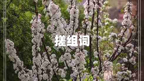 搓组词