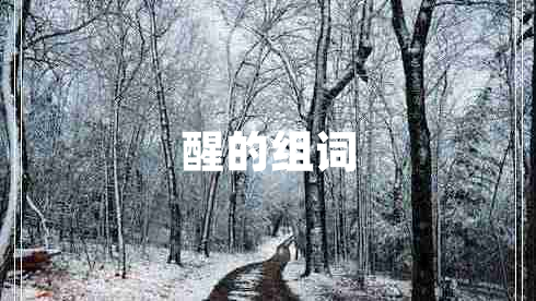 醒的组词