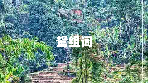 鸳组词