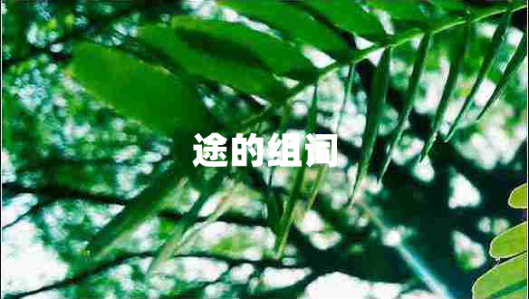 途的组词