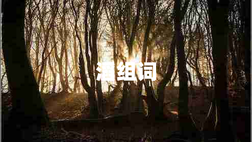 滔组词