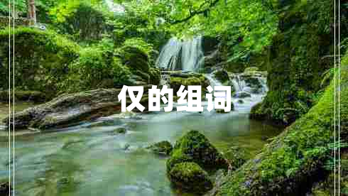 仅的组词