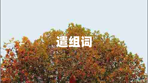遣组词