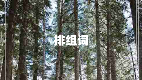 排组词