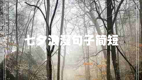 七夕浪漫句子简短