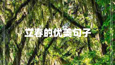 立春的优美句子
