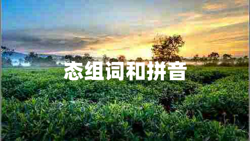 态组词和拼音