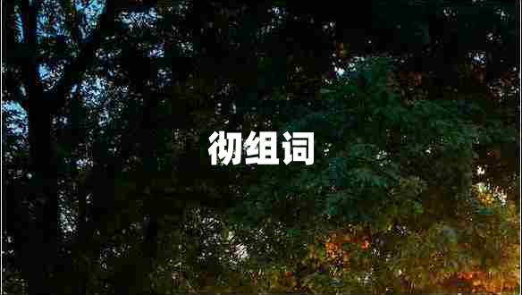 彻组词